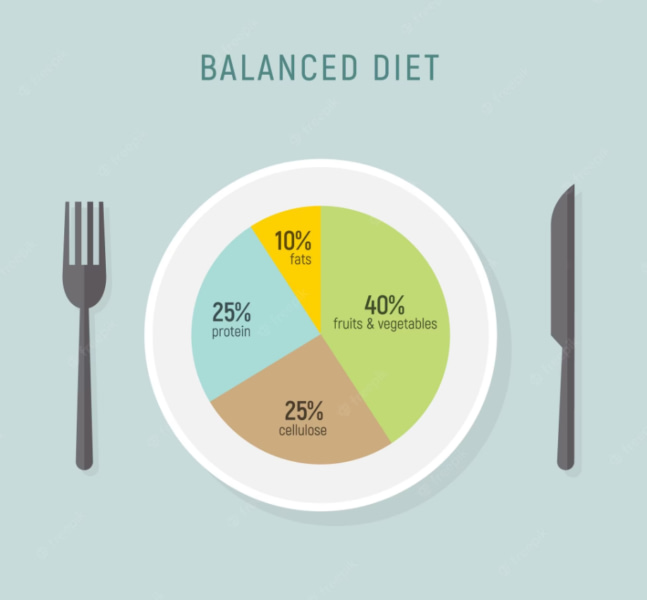 An infographic showing a balanced diet plate.